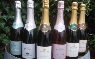 Kender du vores bobler fra Limoux?