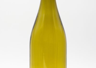 salome blanc mas camps