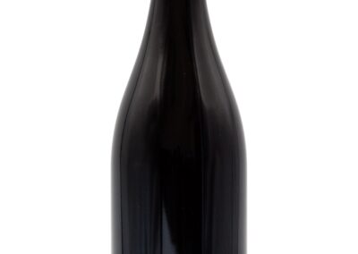 salome rouge mas camps