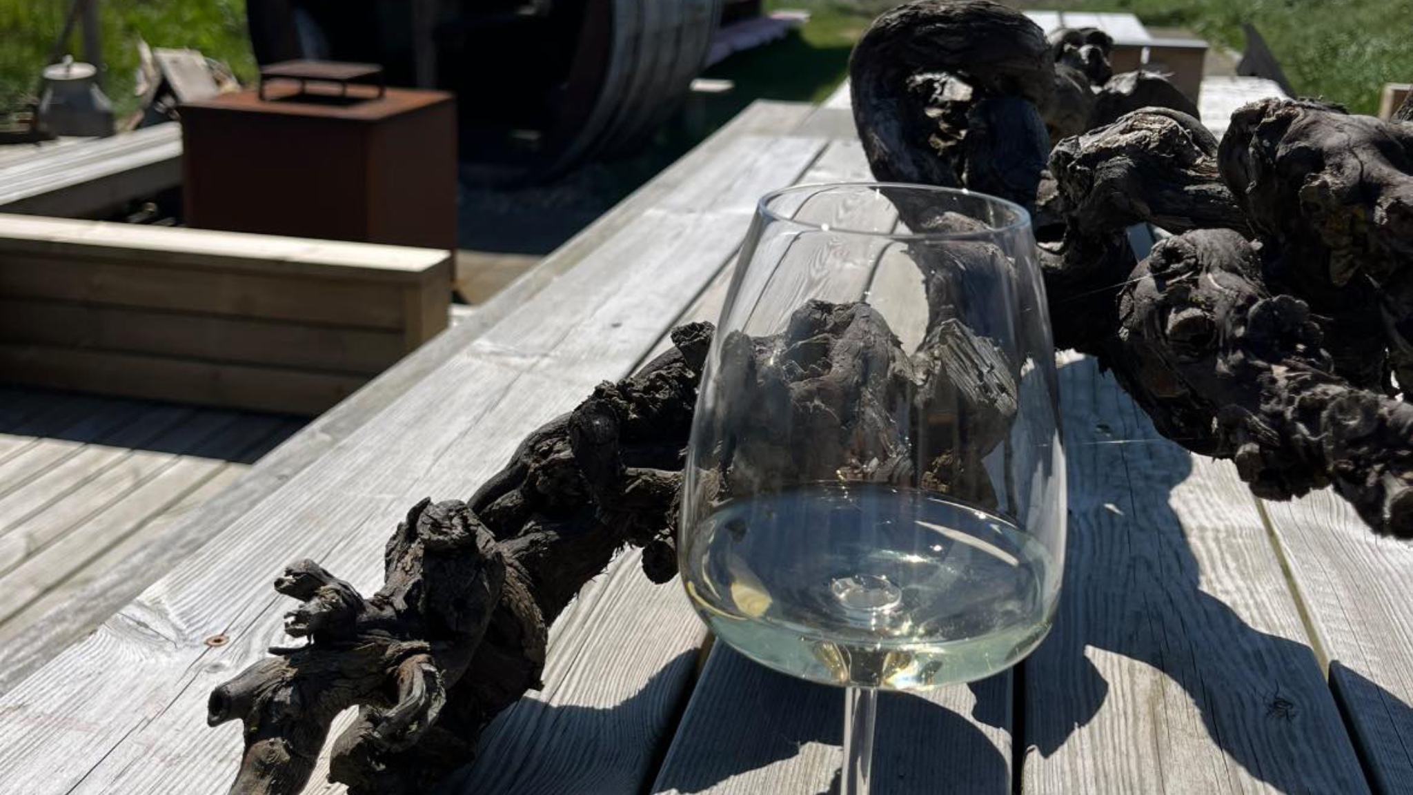 vinbar hvidvinsglas terrassen vinbar terrassen hvidvinsglas
