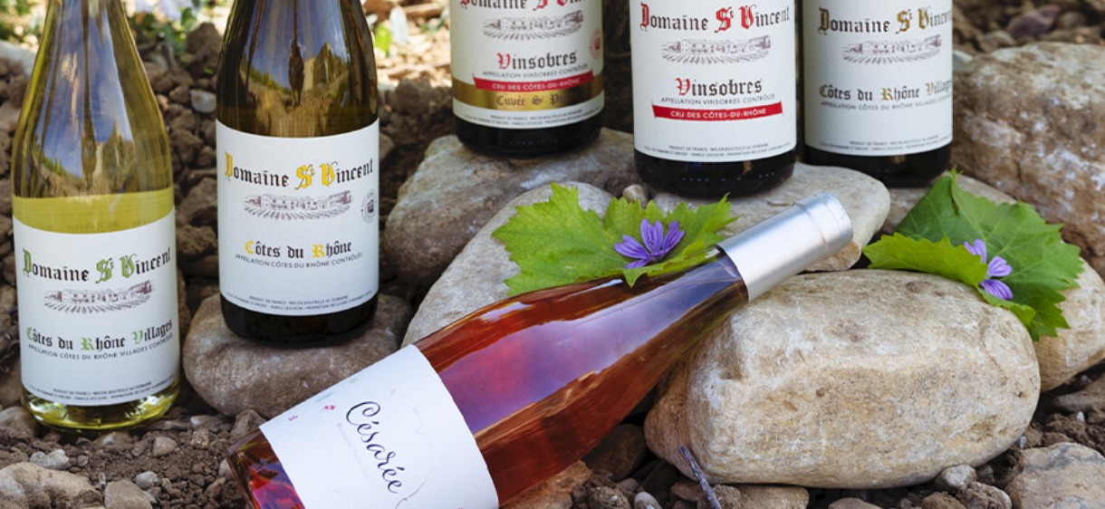 vinsmagning rhone vinsobres