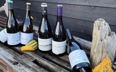 Stem om vores nye vinsortiment!